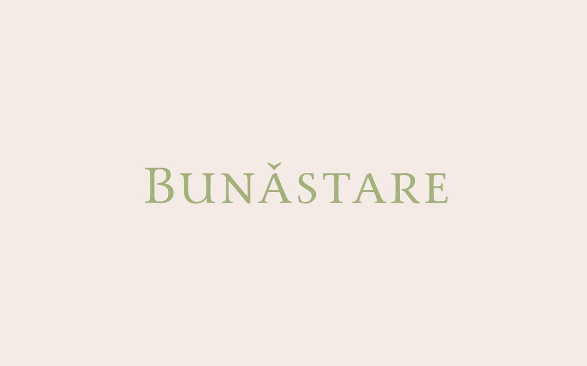 BUN?STARE美容品牌包裝vi設計——有機化妝品品牌視覺設計，vi設計，視覺設計，化妝品品牌vi設計，化妝品vi設計，企業vi設計，品牌vi設計，美容品牌vi設計，vi品牌策劃，深圳vi設計，左右格局