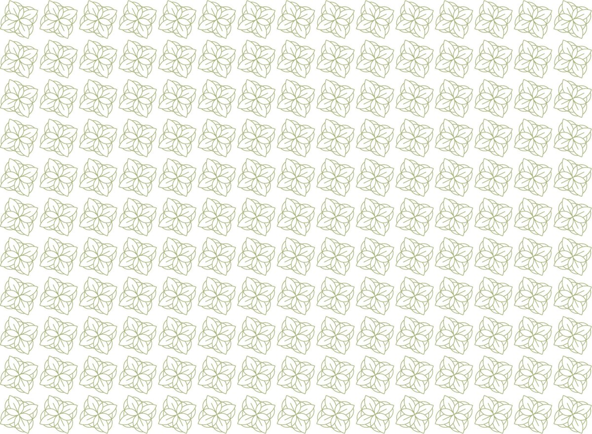BUN?STARE美容品牌包裝vi設計——有機化妝品品牌視覺設計，vi設計，視覺設計，化妝品品牌vi設計，化妝品vi設計，企業vi設計，品牌vi設計，美容品牌vi設計，vi品牌策劃，深圳vi設計，左右格局