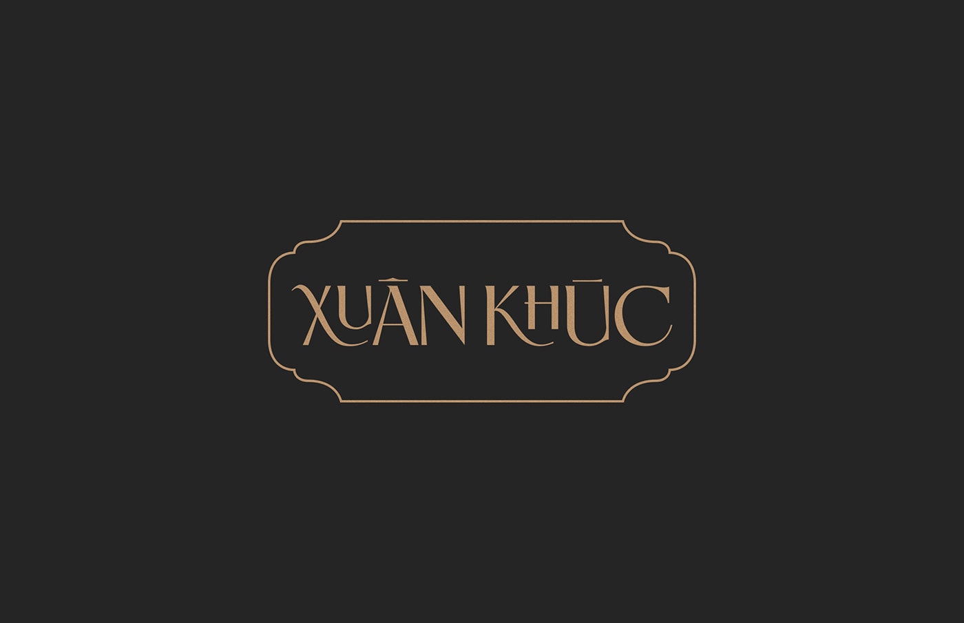 現代越南糖果品牌vi包裝設計和品牌策劃，食品VI設計，食品包裝設計，品牌策劃，深圳VI設計，左右格局